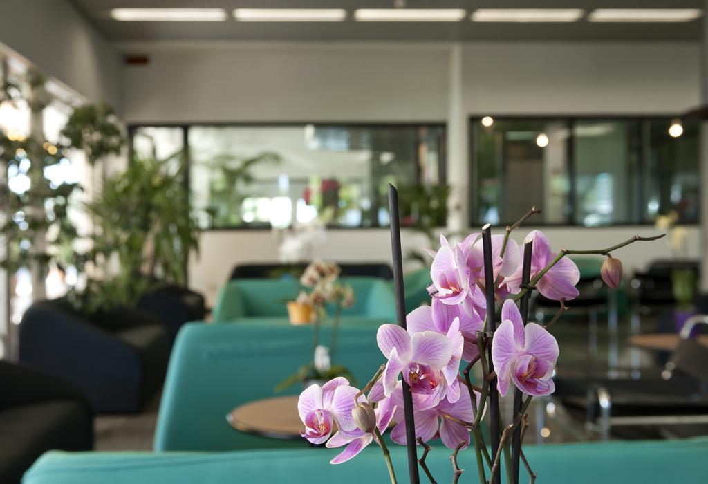 Hotel Cormoran Cattolica Exterior photo